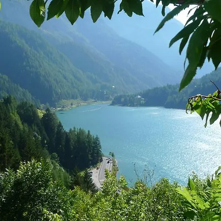 Rododendro *